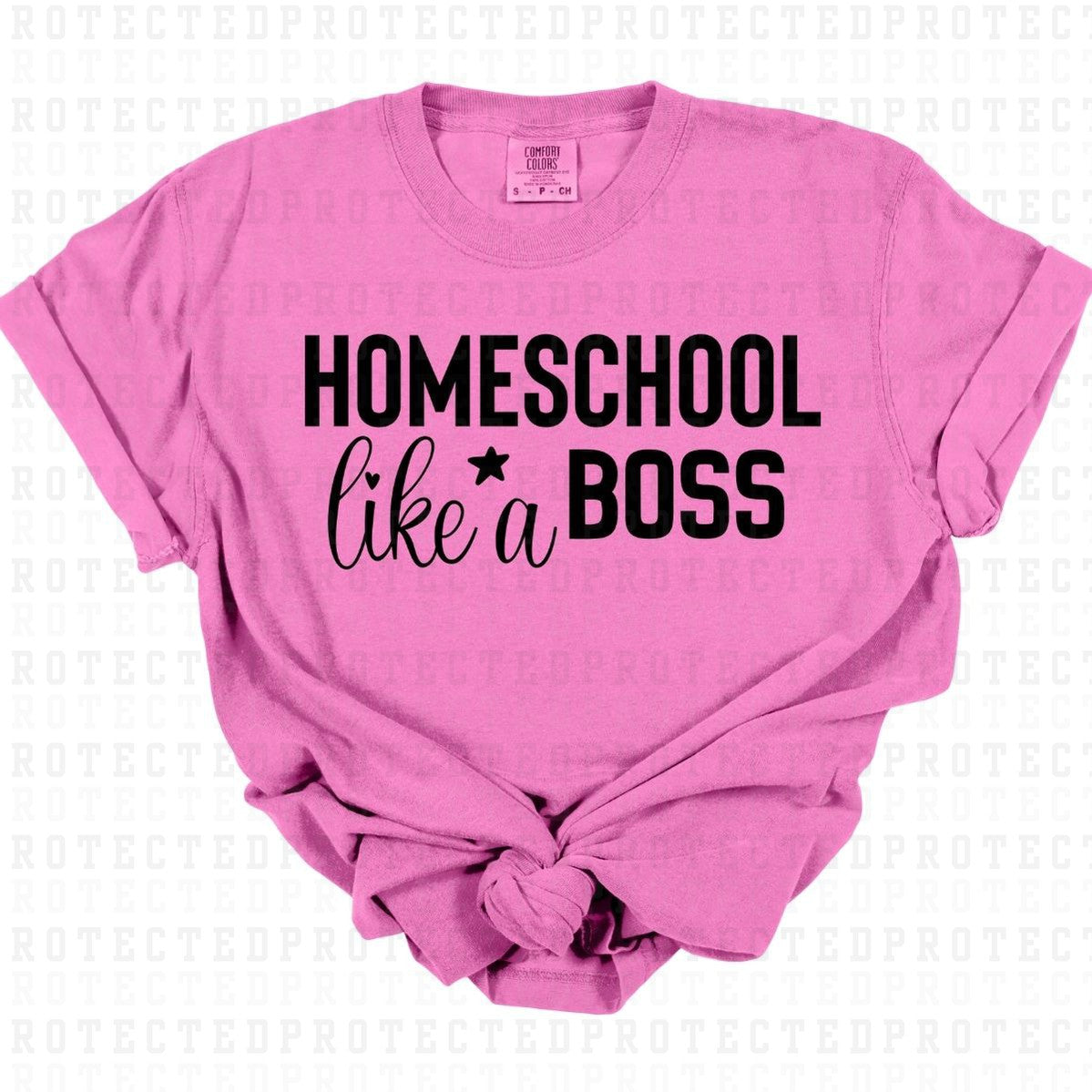 HOMESCHOOL LIKE A BOSS *SINGLE COLOR* - DTF TRANSFER