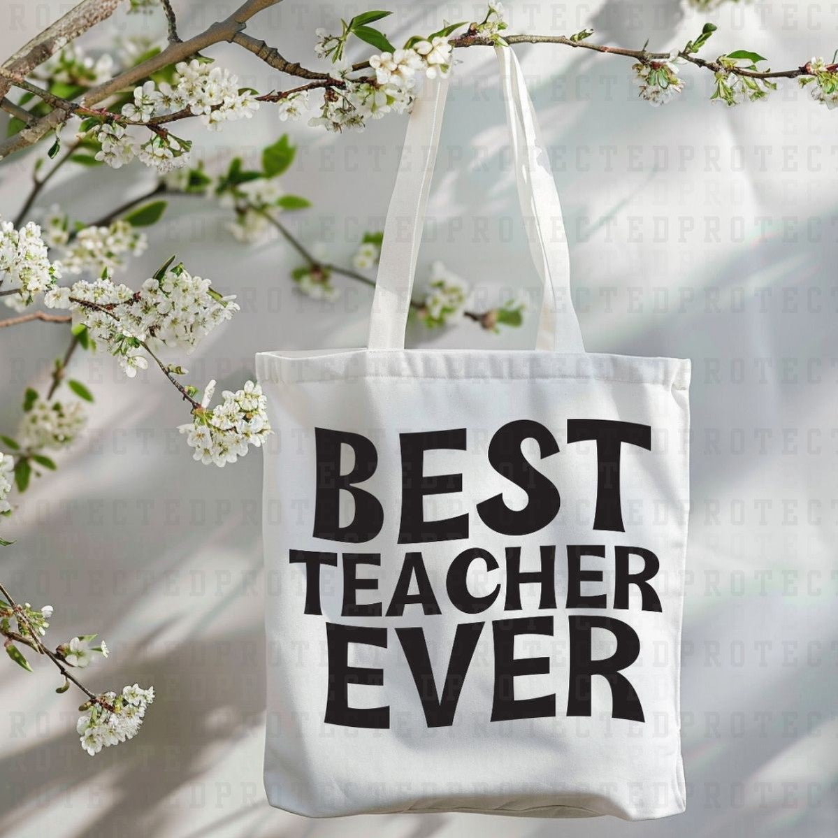 BEST TEACHER EVER *SINGLE COLOR* - DTF TRANSFER