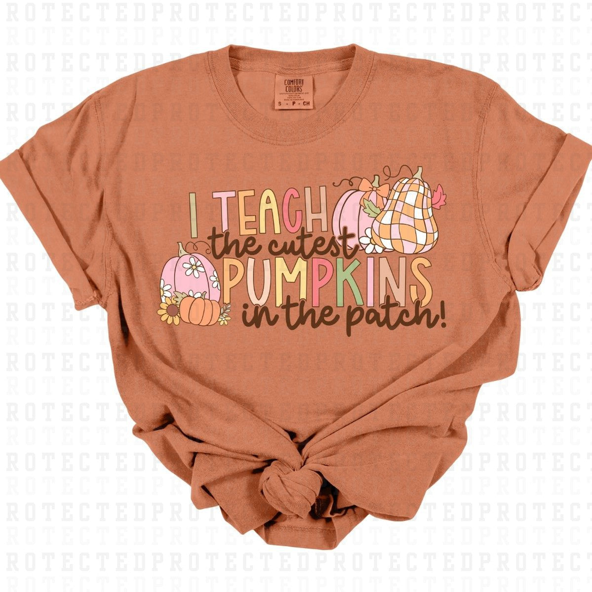 I TEACH THE CUTEST PUMPKINS - DTF TRANSFER