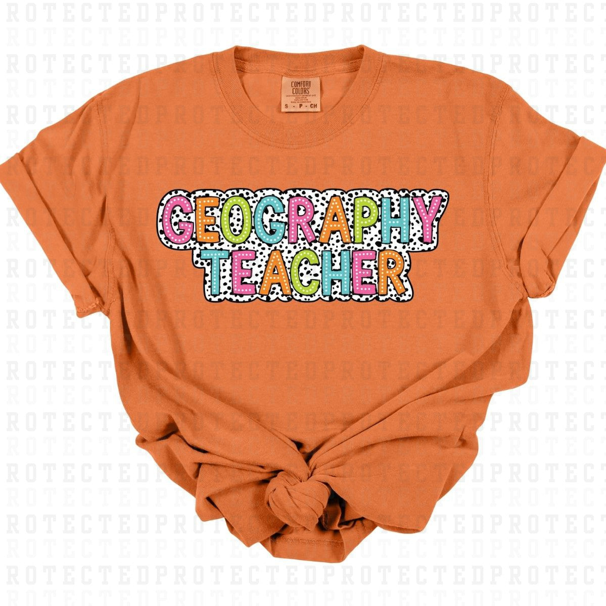 GEOGRAPHY TEACHER - DTF TRANSFER