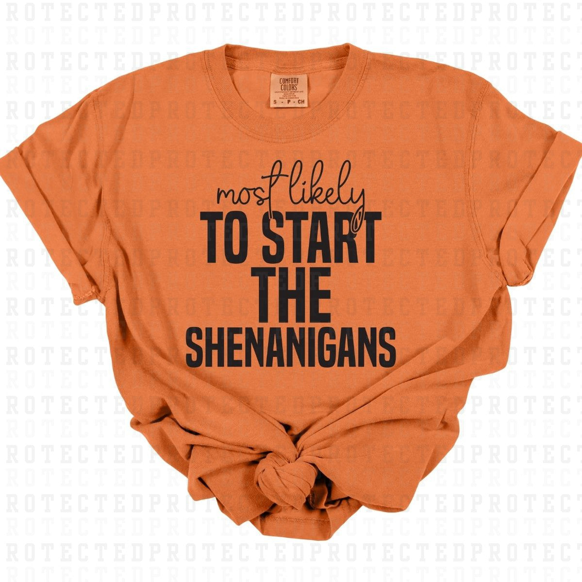 START THE SHENANIGANS *SINGLE COLOR* - DTF TRANSFER