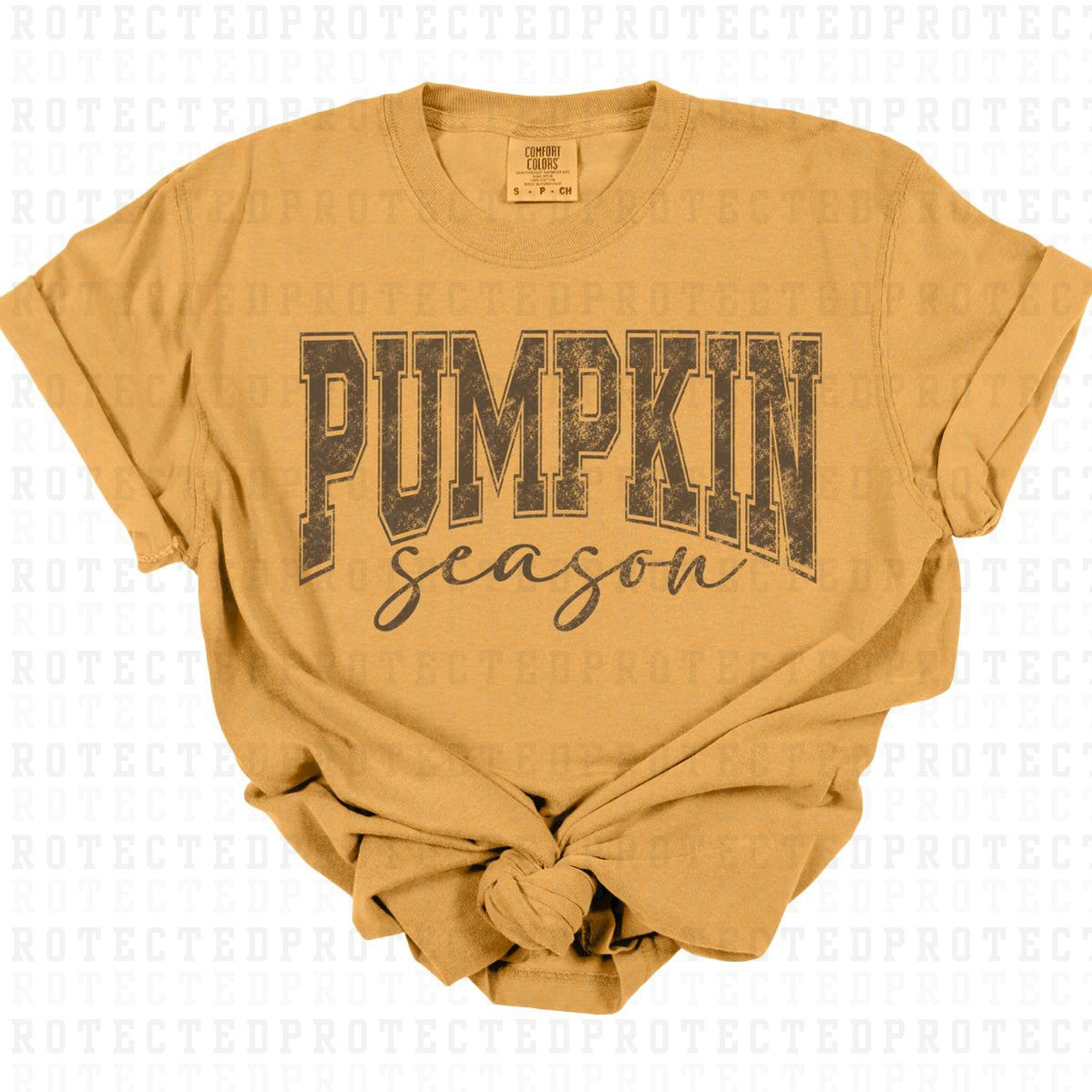 PUMPKIN SEASON *SINGLE COLOR* - DTF TRANSFER