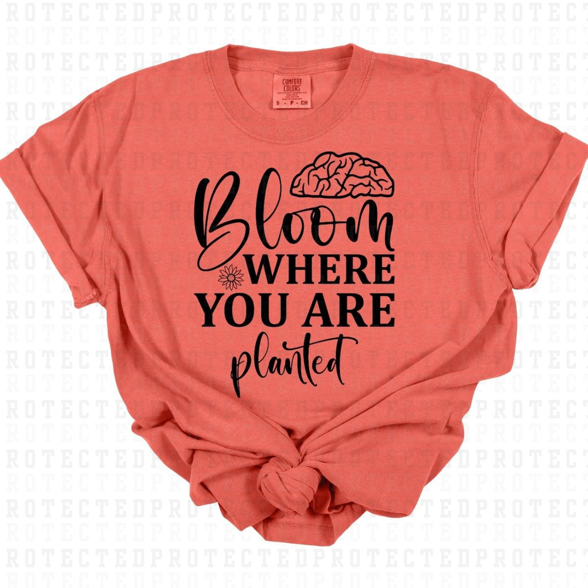 BLOOM WHERE YOU ARE PLANTED *SINGLE COLOR* - DTF TRANSFER