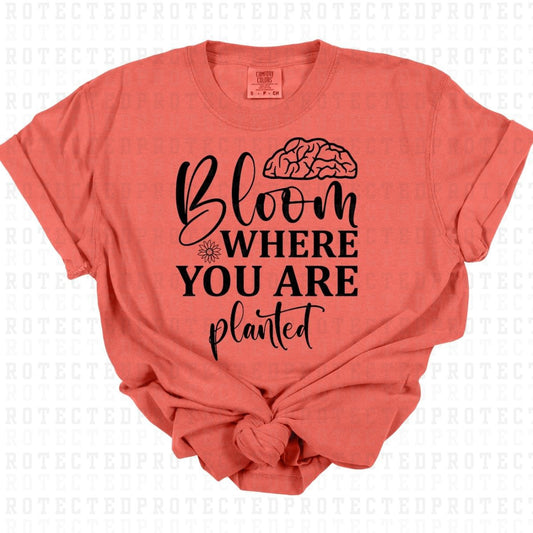 BLOOM WHERE YOU ARE PLANTED *SINGLE COLOR* - DTF TRANSFER