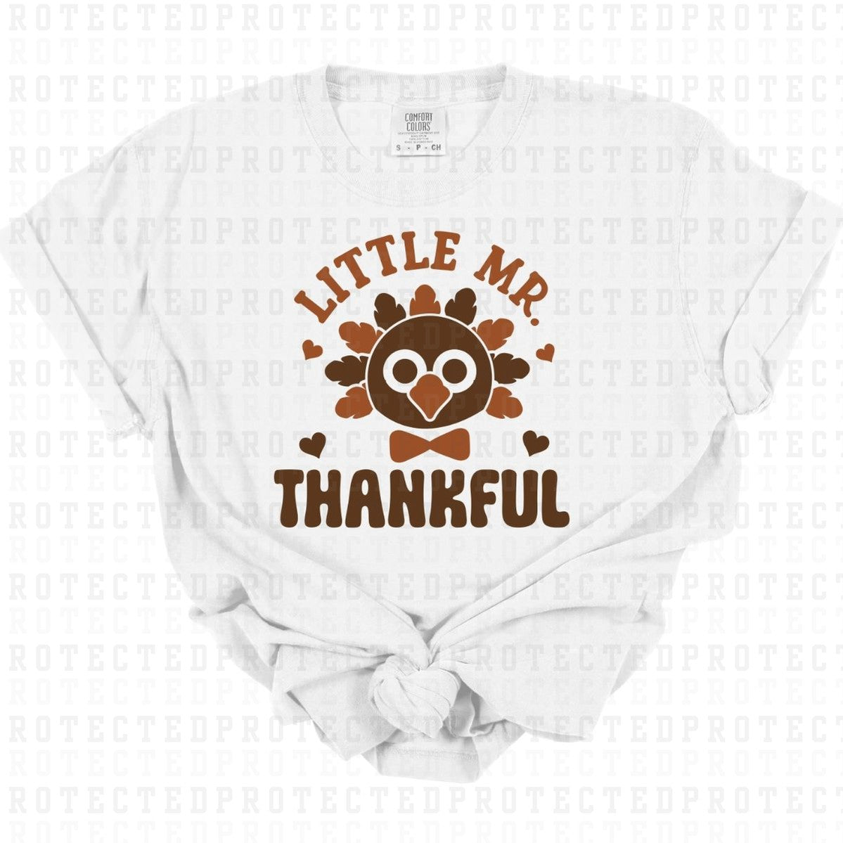 LITTLE MR TURKEY - DTF TRANSFER