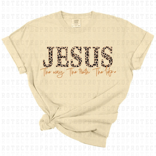 JESUS THE WAY THE TRUTH THE LIFE - DTF TRANSFER