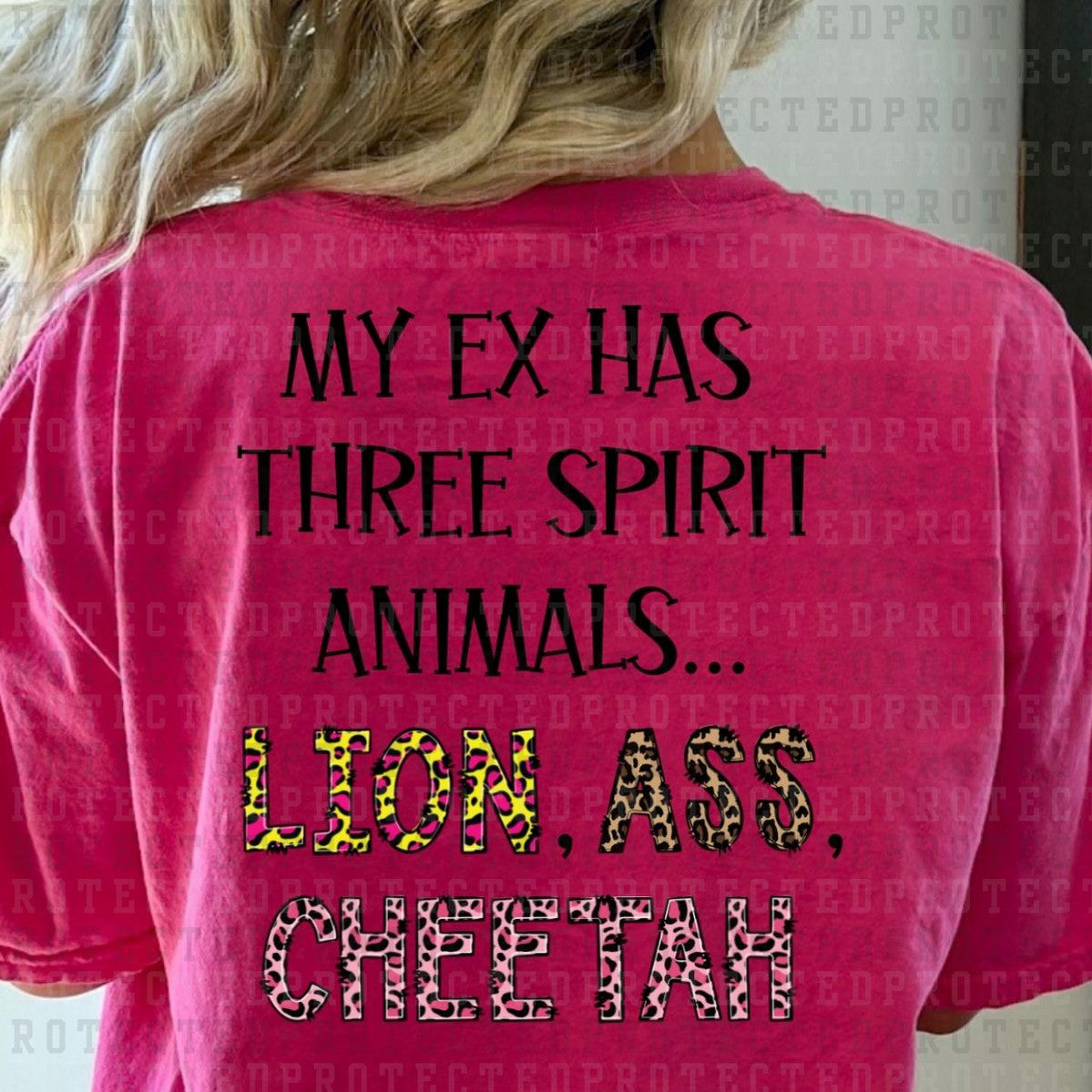 MY EX HAS THREE SPIRIT ANIMALS LION ASS CHEETAH - DTF TRANSFER