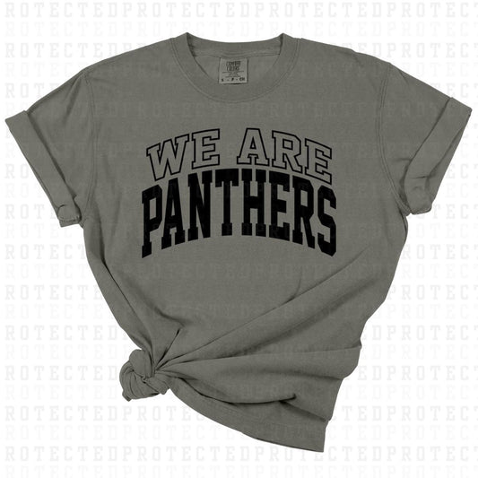 WE ARE PANTHERS *SINGLE COLOR* - DTF TRANSFER