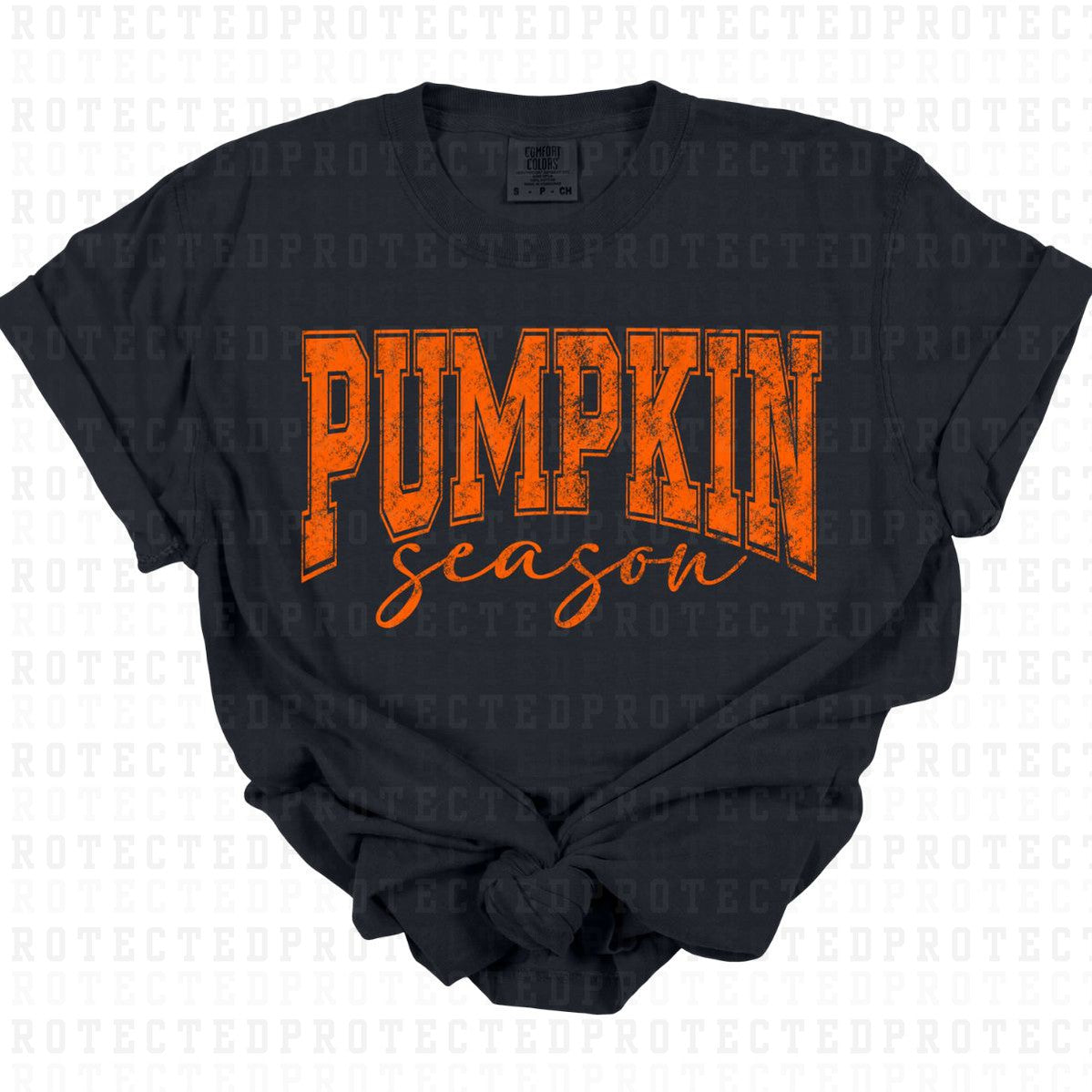 PUMPKIN SEASON *SINGLE COLOR* - DTF TRANSFER