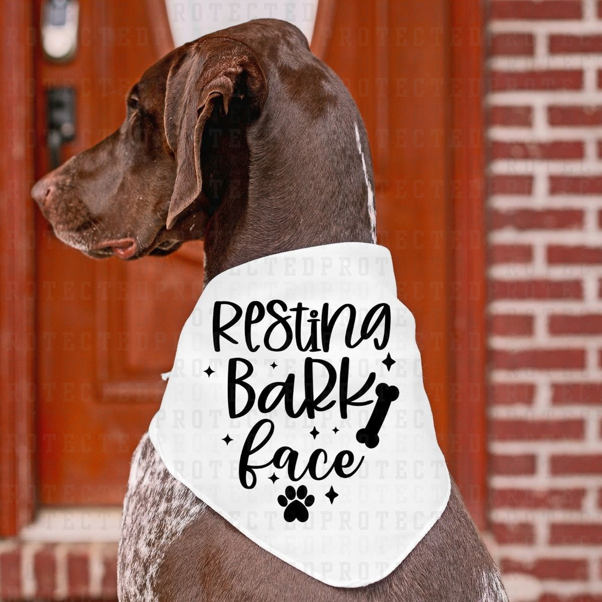 RESTING BARK FACE *SINGLE COLOR* - DTF TRANSFER