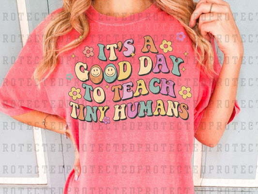 IT'S A GOOD DAY TO TEACH TINY HUMANS - DTF TRANSFER