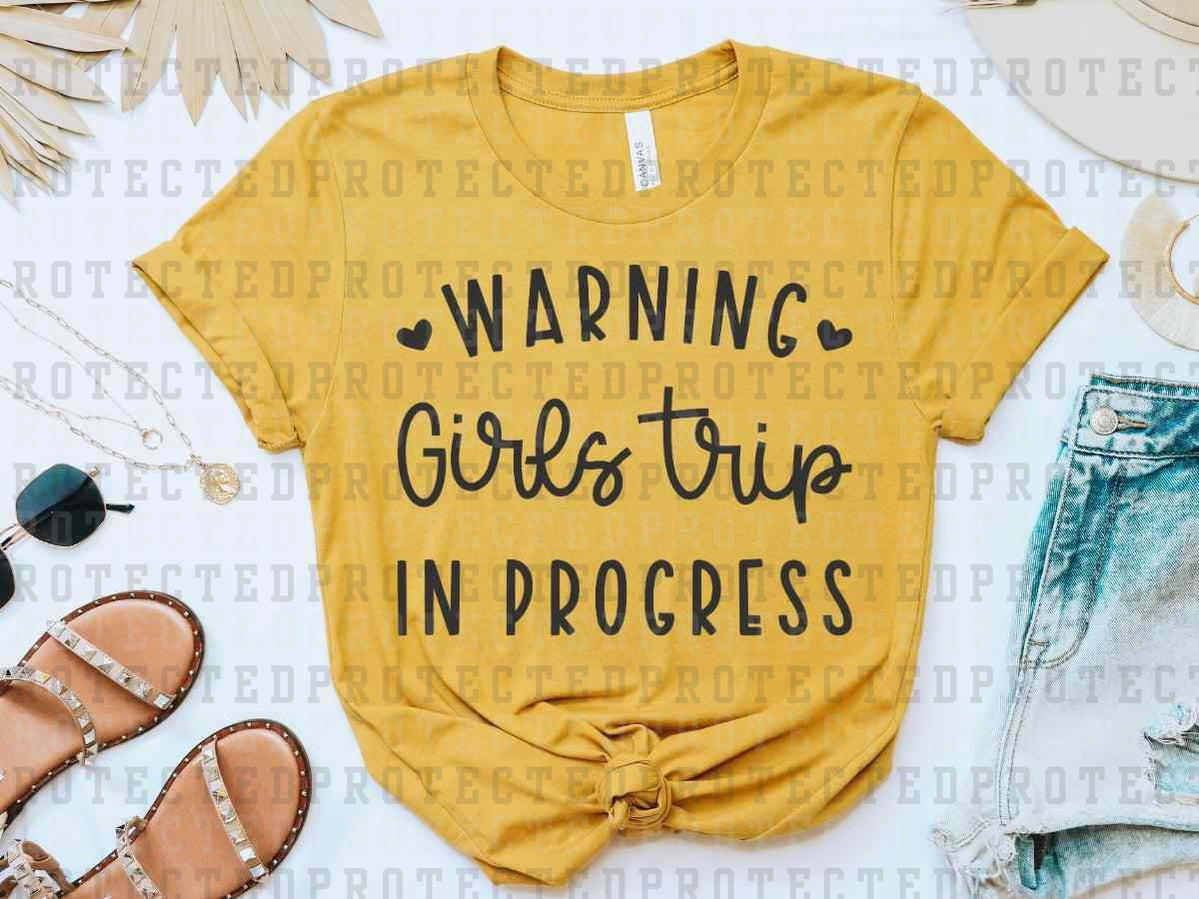 WARNING GIRLS TRIP IN PROGRESS *SINGLE COLOR* - DTF TRANSFER